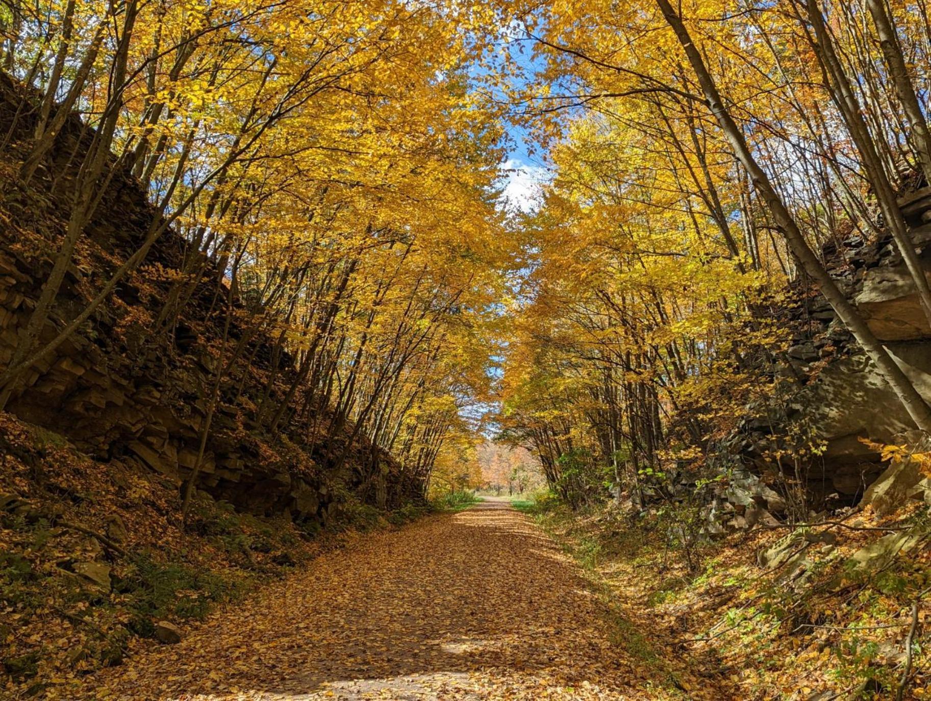 Stay In Ohiopyle In The Center Of It All, Ohiopyle, Pa Exterior foto